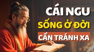Đời người có 4 cái ngu: Bàn về cái ngu lớn nhất, bạn có mắc không?