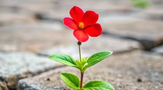 5 Tình huống nên nói dối tốt hơn nói thật, thể hiện phẩm chất người EQ cao giúp cuộc sống giàu đẹp hơn