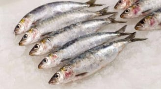 Loại cá tốt nhất thế giới, ở Việt Nam bán rẻ bất ngờ chỉ vài chục nghìn/kg