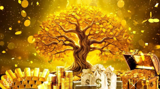 Tháng 9 đến tháng 12: 3 tuổi Lộc Trời Hội Tụ, Giàu Hơn Thần Tài, 1 mạch đón Tết 2026 linh đình