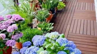 Xuất hiện 6 dấu hiệu phong thủy này, chứng tỏ nhà chung cư của bạn sắp hút vận may, gia chủ phát tài!