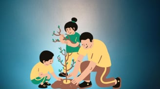 3 loại cây cảnh đẹp nhưng phá tài, người giàu tri thức thường không trồng
