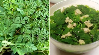 Loại rau có lượng canxi cao gấp 4 lần sữa, thường bị nhầm với rau ngót: Đem nấu canh vừa ngon vừa bổ