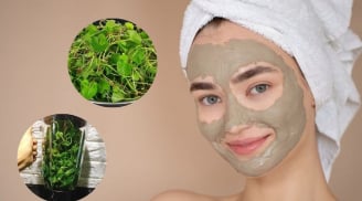 Loại rau dân dã, giá “hạt dẻ” nhưng là “mỹ phẩm tự nhiên”, nuôi dưỡng làn da mịn màng