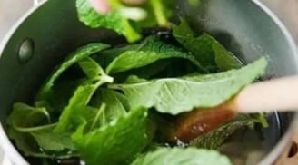 5 cách diệt chuột an toàn, hiệu quả và tiết kiệm – đơn giản ai cũng làm được