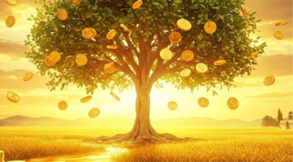 Người xưa nói: Trong nhà có 3 dấu hiệu này thì sắp phát tài, giàu có khó ai sánh bằng