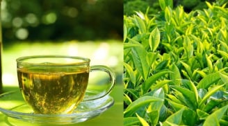Đừng tưởng uống trà xanh là thần dược: 8 nhóm người này tuyệt đối đừng đụng vào
