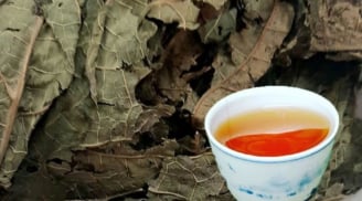 Uống nước lá đu đủ cực hại với 5 người này, hãy tránh xa!