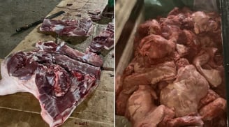 Đi chợ mua thịt lợn thấy 4 dấu này, cẩn thận đó là thịt nhiễm dịch tả lợn châu Phi