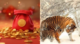 4 con giáp kiếm tiền như vũ bão từ 1/9, cuối năm tài lộc ngập nhà, vận may kéo dài vô tận sang 2026