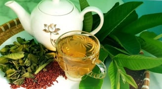 5 người tuyệt đối không uống nước lá ổi, càng uống càng sinh bệnh