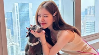 Nối gót Thùy Tiên: Nữ diễn viên nổi tiếng bị “xoá sổ” vì nghi vấn trục lợi livestream bán hàng