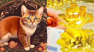 21 ngày tới (24/8-12/9): 4 con giáp vận đỏ chạm nóc, sang tháng 10 tiền đổ về như mưa rào, tháng 11 giàu to