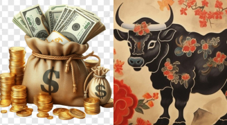 4 con giáp tái sinh từ cuối 2025, sang 2026 vàng bạc đầy bát, tiền bạc liên tục đổ về đến tận 2030