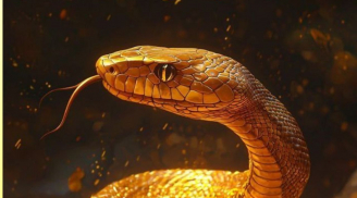  Từ 24/8 tới 4/9: 3 con giáp cần cẩn trọng tiểu nhân, sức khỏe sa sút, đi đứng không thuận