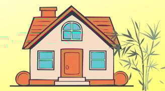 5 loại cây cảnh đặt đúng vị trí giúp canh gác bảo vệ ngôi nhà, tránh cô hồn, gia chủ bình an giàu có