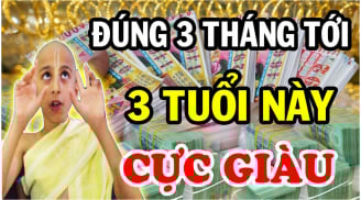 Chạy Trời Không Khỏi Nắng: 3 tuổi Tổ Tiên Mở Đường, đi đằng Đông hốt Vàng, đi đằng Tây hốt Bạc 90 ngày tới