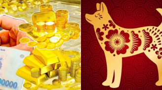 Từ tuần sau (25/8): 3 con giáp vận thế thăng hoa, may mắn phủ đầu, tiền đổ về như mưa rào đến cuối năm