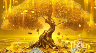 3 con giáp Không Chăm Chỉ nhưng Làm Việc Thông Minh, Sự Nghiệp Thăng Tiến Vù Vù, Giàu nhanh như vũ bão