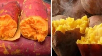 Ăn khoai lang: 3 nhóm người nên tránh kẻo mang thêm bệnh không ngờ
