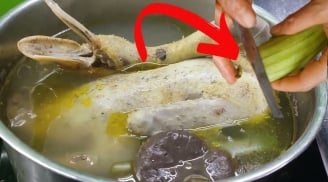 Cắt nhỏ quả này rồi thả vào nồi: Luộc vịt hết hôi, thịt mềm ngọt gấp 5 lần