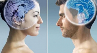 Vì sao đàn ông thông minh thật sự không bao giờ tranh luận với vợ?