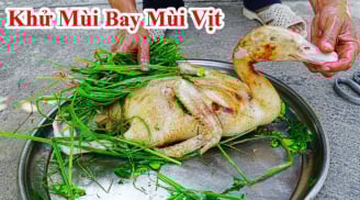 Vịt đầy lông măng thịt mãi không sạch: Vò nắm lá này thả vào chậu nước, 5 phút sạch bung