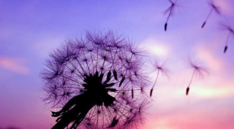  Dám vứt bỏ 3 thứ này, Cuộc Sống Của Bạn Sẽ giàu có Hạnh Phúc, càng níu giữ chỉ càng mất mát