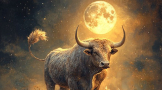 Nói được làm được: 3 con giáp thành công từ uy tín, Càng Già Càng Giàu, Vang danh lẫy lừng