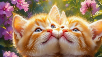 Có Phúc ắt Có Phần: 3 Con Giáp chăm làm Việc Thiện, càng sống Càng Giàu Phúc Lộc