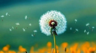 Người xưa dạy: 3 thứ này, ai có càng ít thì càng sống càng giàu phúc lộc, nửa đời sau an nhiên