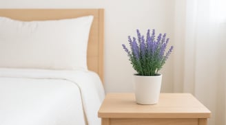 Phong thủy cảnh báo: 7 loài hoa tuyệt đối không để trong phòng ngủ kẻo rước xui xẻo, tình cảm rạn nứt