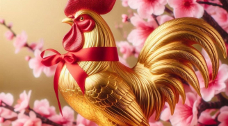  3 tháng cuối năm Ất Tỵ 2025: 3 con giáp May mắn Đặc biệt, Tài Lộc rực rỡ, Tình-Tiền lên hương như trúng số