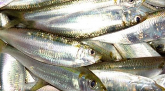 7 loại cá nên mua ngay khi thấy ở chợ: Bổ ngang nhân sâm, sạch, giá cực rẻ