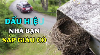 Tổ Tiên gửi Mộng Vàng: Nhà gặp 3 dấu hiệu này sắp sửa giàu to, con cháu lo mà hưởng