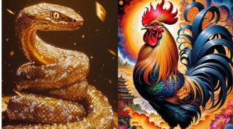 Thứ 4, Thứ 5 (3-4/9), 3 con giáp thuận lợi Xuất Hành, công việc Hanh Thông, Tài Lộc như mưa rào