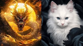 Tay Trắng Phất Lên: 3 tuổi túi tiền đầy ắp, giàu có vang danh 3 năm tới