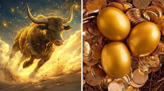 Từ 4/9 đến 15/9: 3 tuổi Sa Chân Chĩnh Vàng, Giàu Sang Không Tưởng, 1 Tuổi bê bết nợ nần