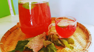 Uống nước lá tía tô cực tốt nhưng lại kỵ với 6 người này, hãy tránh xa!