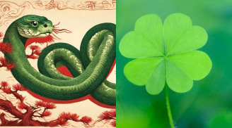 Vận đỏ như son 66 ngày tới: 3 con được bà Chúa Kho túi tiền đầy két, giàu ngộp thở, vạn sự hanh thông