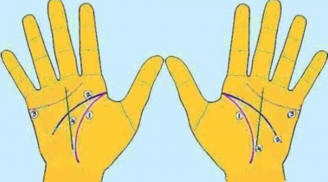4 đường chỉ tay chính ai cũng tự xem được vận mệnh của