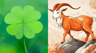 Trời ban may mắn: 3 con giáp càng tử tế càng có phúc, phất mạnh từ trung niên, càng về già càng sung túc