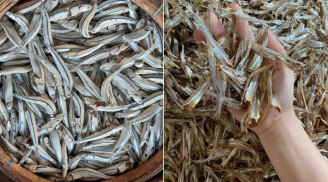 3 loại cá giàu omega-3, ít 'ngậm' thủy ngân, tốt không kém cá hồi, chợ Việt vừa nhiều vừa rẻ