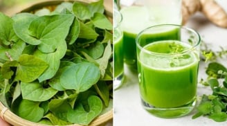 Cách làm nước rau diếp cá không tanh, dễ uống, giúp thon dáng, trắng da
