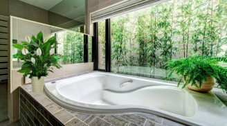 3 vị trí đặt cây xanh trong nhà giúp gia chủ giàu có thịnh vượng, làm ăn phát tài, phát lộc