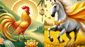 4 tuổi là đệ tử của Thần Tài từ 10/9-10/10: Đàm phán chiếm ưu thế, sáng tạo bất ngờ, Bội Thu tài lộc