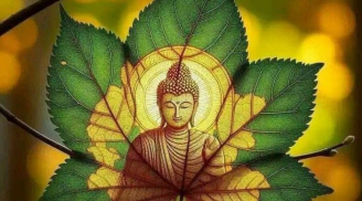 5 biểu hiện cho thấy một người có cuộc sống tốt lành, Phúc đức, càng già càng giàu có hạnh phúc