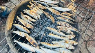 Loại cá này giàu Omega-3, rẻ hơn cá hồi mà không lo ngậm thủy ngân, lại bán đầy chợ Việt