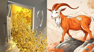 3 con giáp từ 10/9 tái sinh, tháng 10 đổi đời tiền bạc dư dả, Tết 2026 giàu nhất thiên hạ