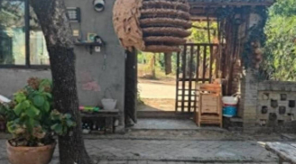 5 loài vật xuất hiện quanh nhà báo hiệu điềm xui, đừng vội mừng kẻo hối hận